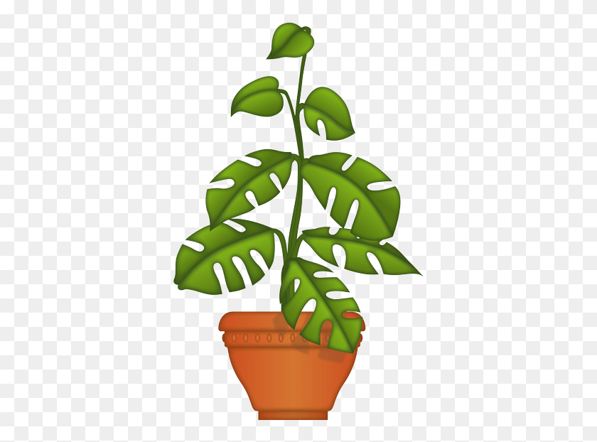 355x562 Вазон, Лист, Растение, Зеленый Hd Png Скачать