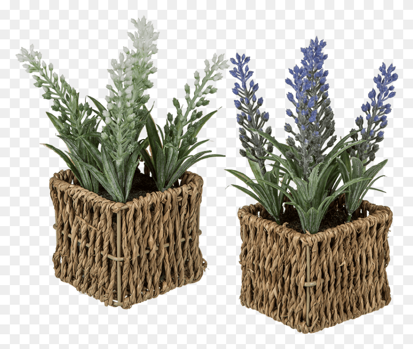 829x691 Flowerpot, Plant, Tree, Basket HD PNG Download