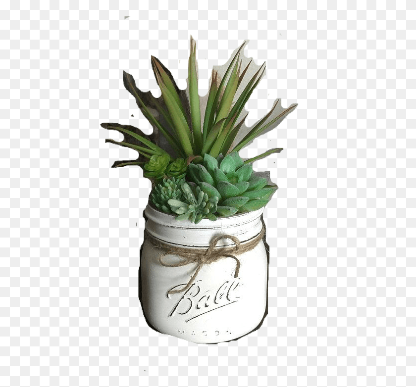 440x722 Flowerpot, Plant, Jar, Flower HD PNG Download