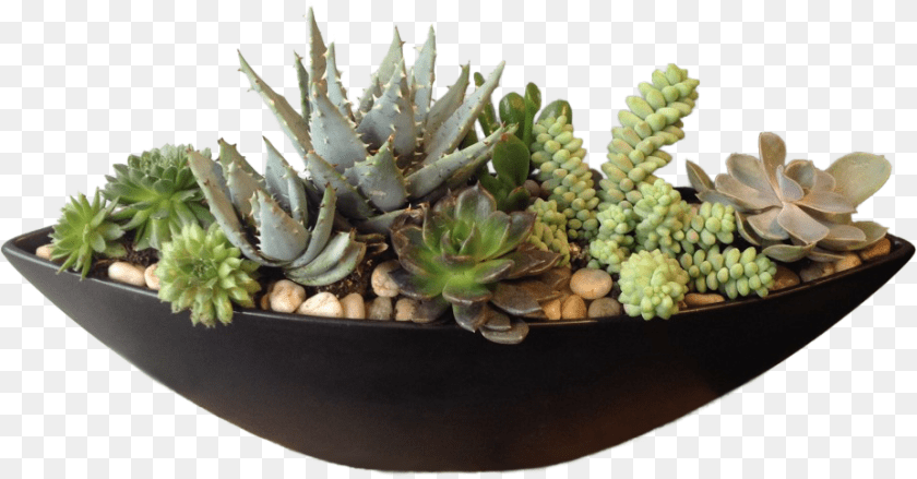 Flowerpot, Jar, Plant, Planter, Potted Plant Clipart PNG