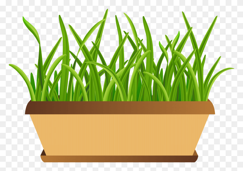 6830x4666 Flowerpot With Grass Transparent Clip Art Imageu200b Clip Art HD PNG Download