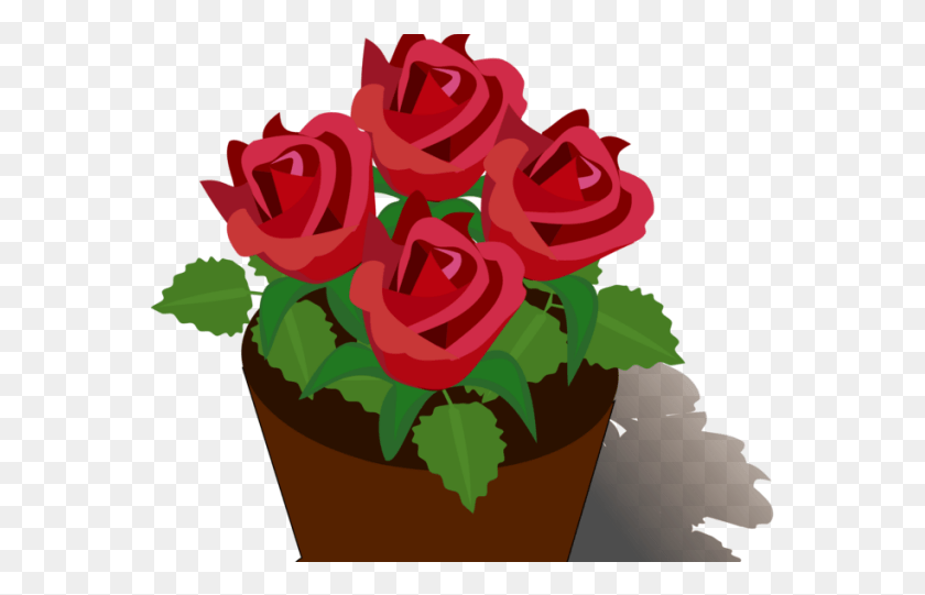 567x481 Flowerpots Clipart Rose Rose Flower Pot Drawing, Plant, Graphics HD PNG Download