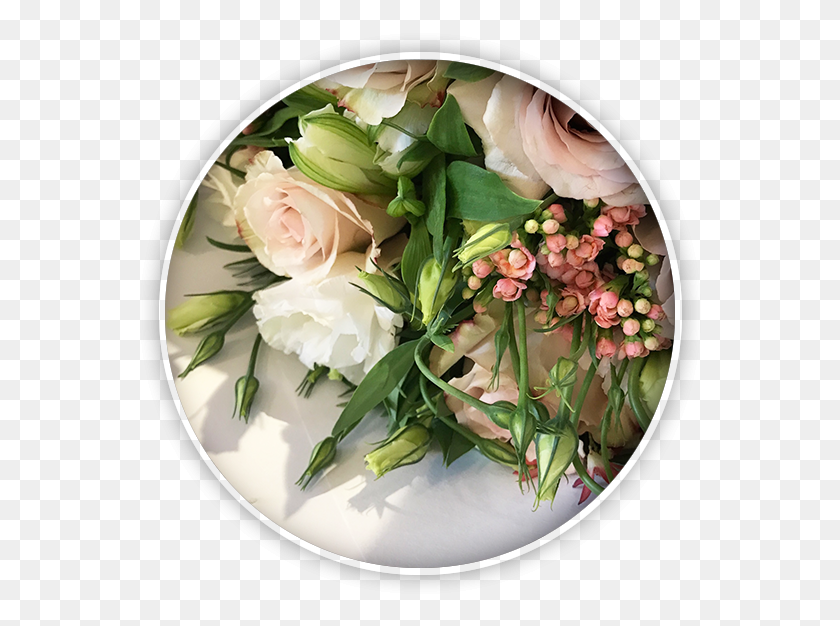 566x566 Flowers Amp Bouquets Garden Roses, Plant, Flower Bouquet, Flower Arrangement HD PNG Download