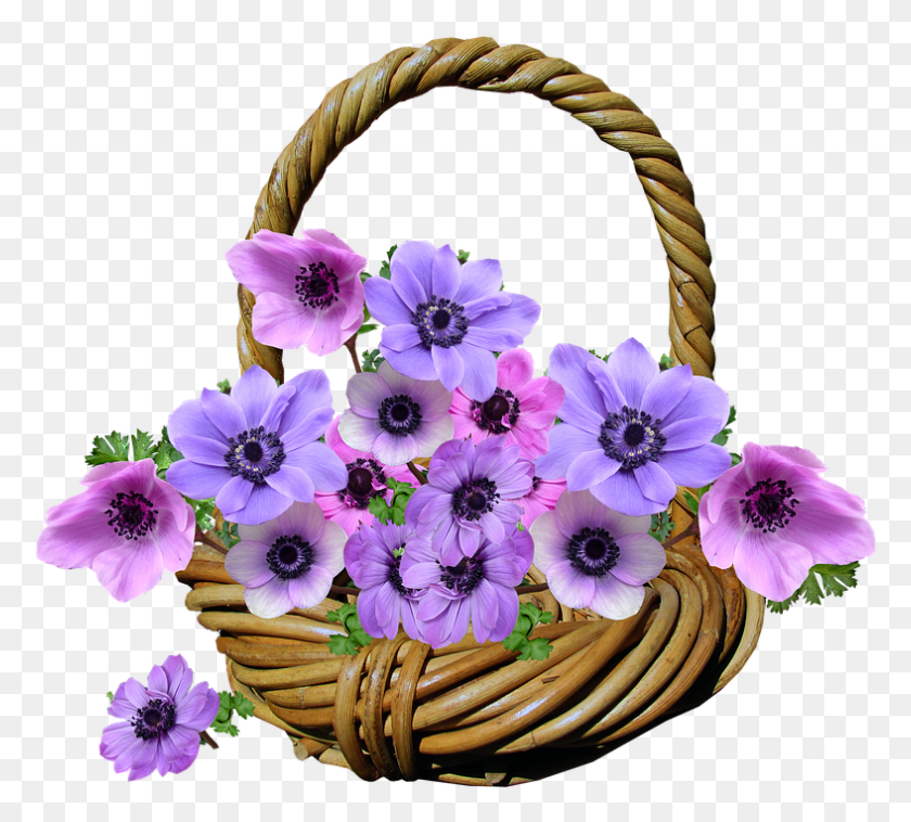 787x705 Flowers Anemone Basket Arrangement Garden Cesta De Flores, Plant, Flower, Blossom Descargar Hd Png