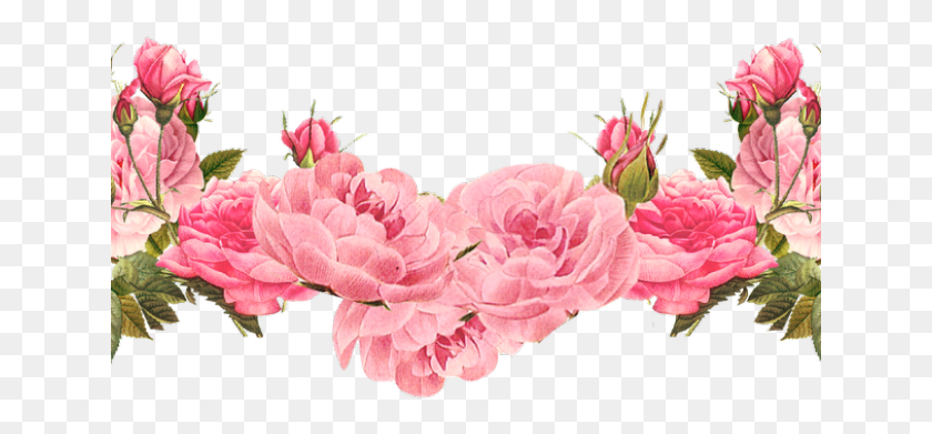641x331 Flowers Borders Clipart Divider Pink Flower Border Transparent, Plant, Flower, Blossom HD PNG Download