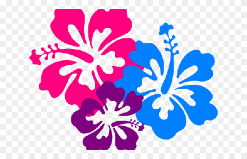 640x480 Цветы Бордюры Клипарт Гавайский Цветок Цветы Гавайи, Растение, Гибискус, Цветок Png Скачать