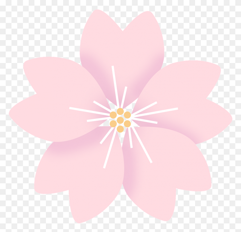 1281x1233 Цветы Вишни В Цвету Сакура Ммд, Растение, Цветок, Цветение Hd Png Скачать