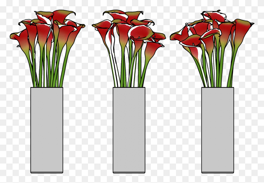 1862x1247 Descargar Png Flores Clipart Gigante Arum Lily, Planta, Flor, Flor Hd Png