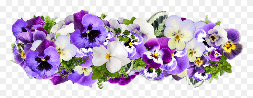 1024x351 Flowers Decoration Line Of Flowers Purple Flower Line, Plant, Flower, Blossom HD PNG Download
