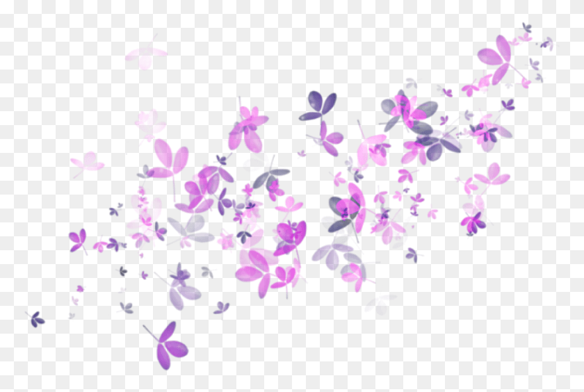 773x504 Падающие Цветы Украшают Фиолетовый Розовый Поэзия, Бумага, Конфетти, Лепесток Hd Png Скачать
