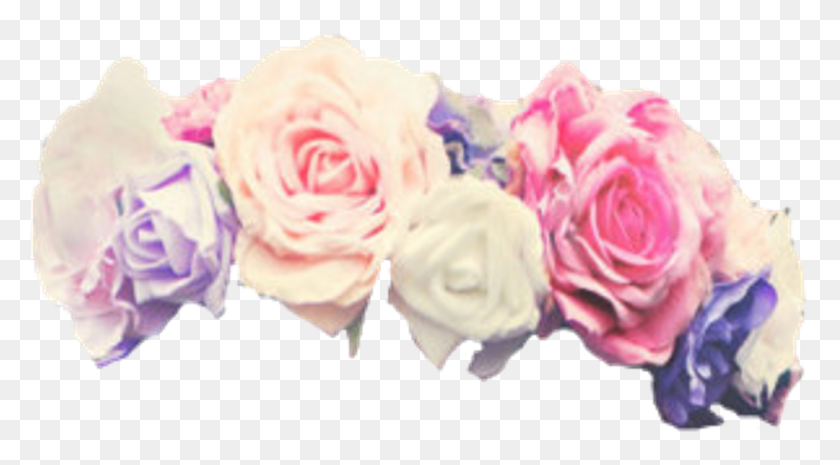 1025x533 Flowers Flower Floral Crowns Crown Flower Crown Transparent Overlay, Plant, Rose, Blossom HD PNG Download