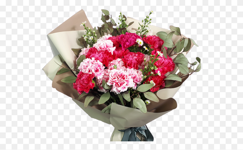 551x461 Flowers For Teachers Uk, Plant, Flower, Blossom HD PNG Download