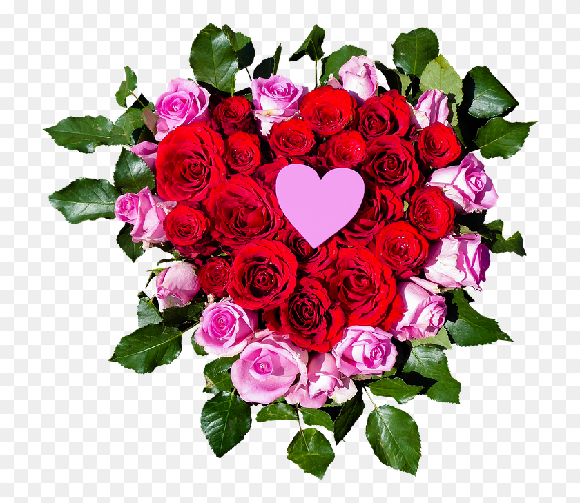 724x669 Flowers Heart Roses Heart Flowers Cveti Serdce, Plant, Rose, Flower HD PNG Download