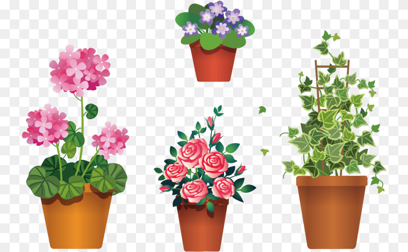 753x519 Flowers In Pot Clipart Background, Plant, Flower, Flower Arrangement, Geranium Transparent PNG