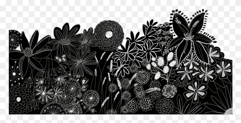 1001x476 Flowers Monochrome, Nature, Outdoors, Astronomy HD PNG Download