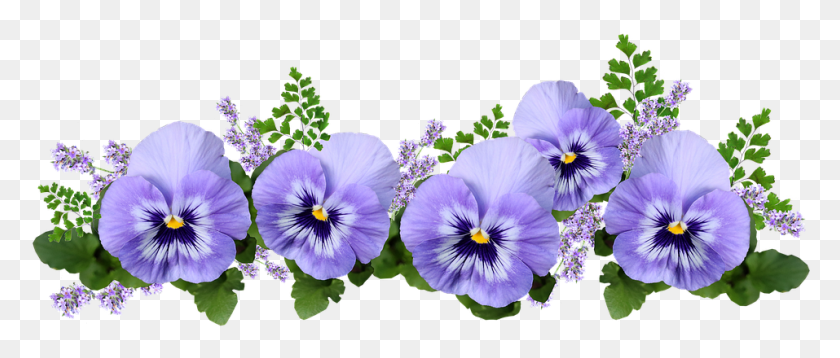 957x366 Flowers Pansies Lavender Maiden Hair Fern Pansy, Plant, Flower, Blossom HD PNG Download