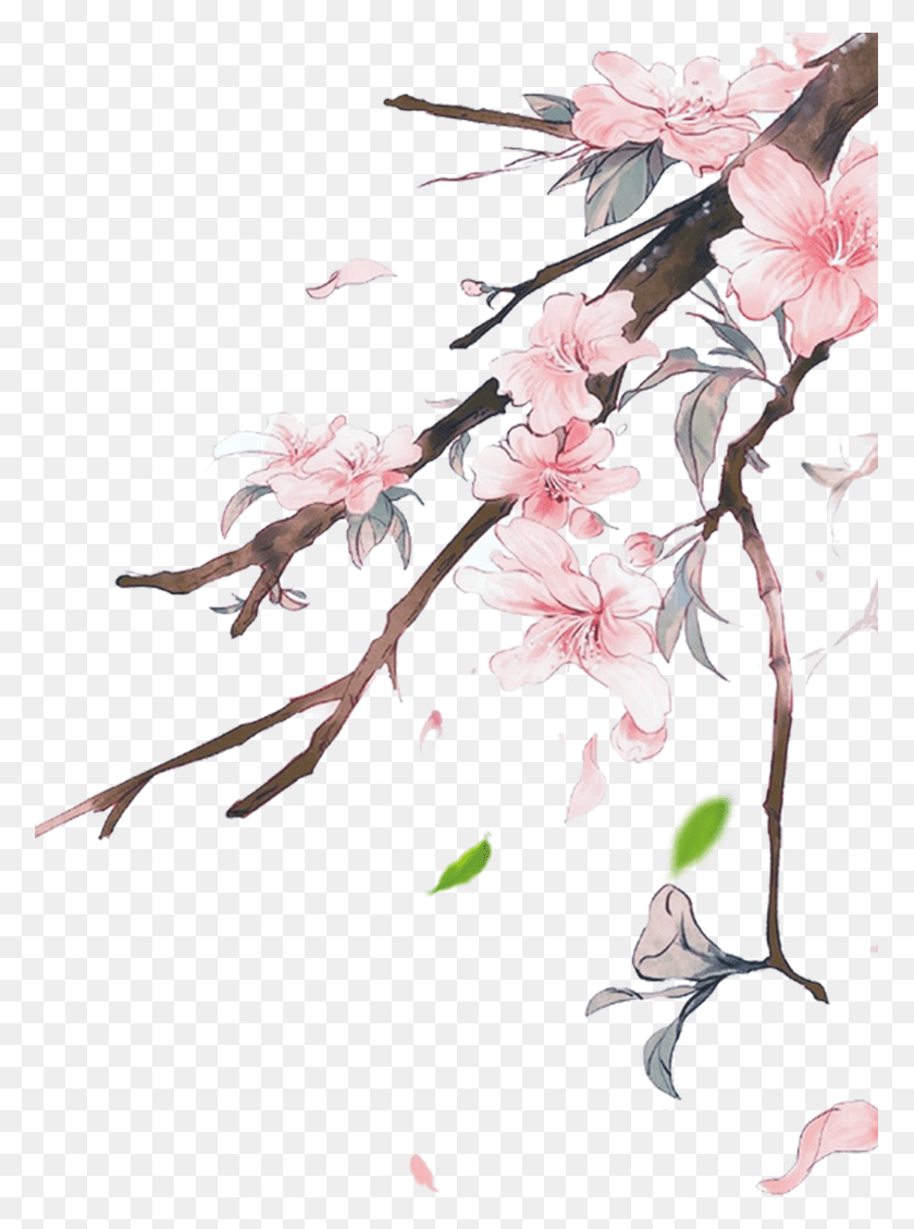 775x1069 Flowers Pink Pinkflowers Japanese Nature Ftestickers Tranh Hoa O Trung Quc, Plant, Flower, Blossom HD PNG Download