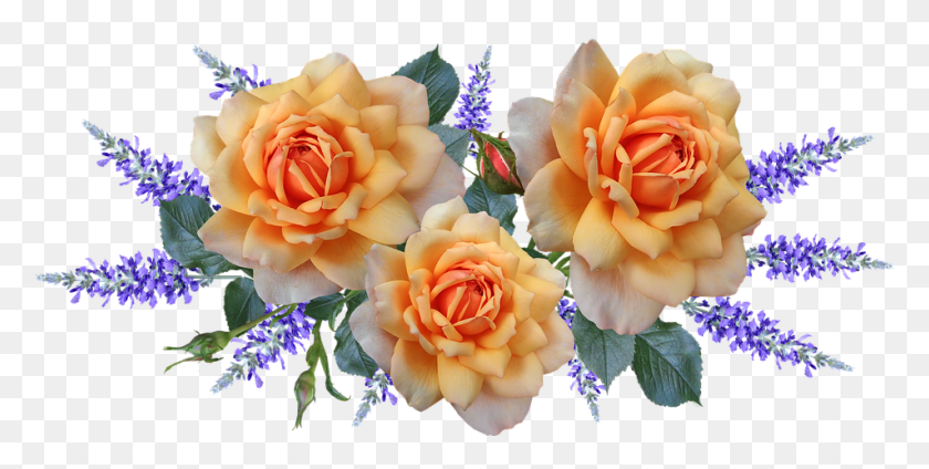 953x445 Цветы Розы Композиция Парфюм Сад Природа Сад Розы, Растение, Роза, Цветок Png Скачать