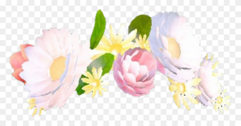 1002x487 Цветы Snapchat Наложение Tumblr Корона Корона Розовая Роза Snapchat Фильтры Цветок Корона, Растение, Цветение, Лепесток Hd Png Скачать
