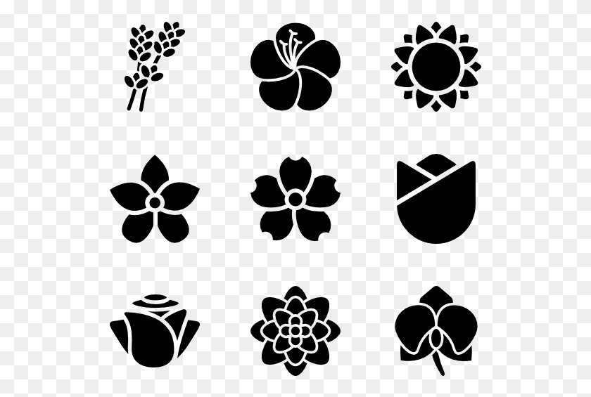 529x505 Flowers Species Flowers Icon Transparent Background, Gray, World Of Warcraft HD PNG Download