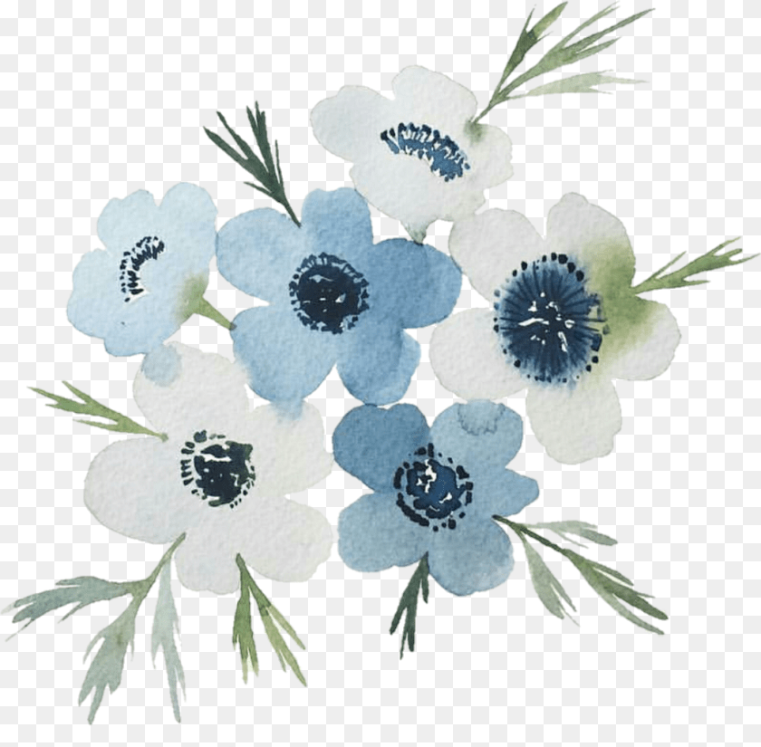 1042x1024 Flowers Spring Cool Blue Nature Drawing Watercolor Transparent Blue Flowers Drawing, Anemone, Pattern, Flower, Plant Clipart PNG