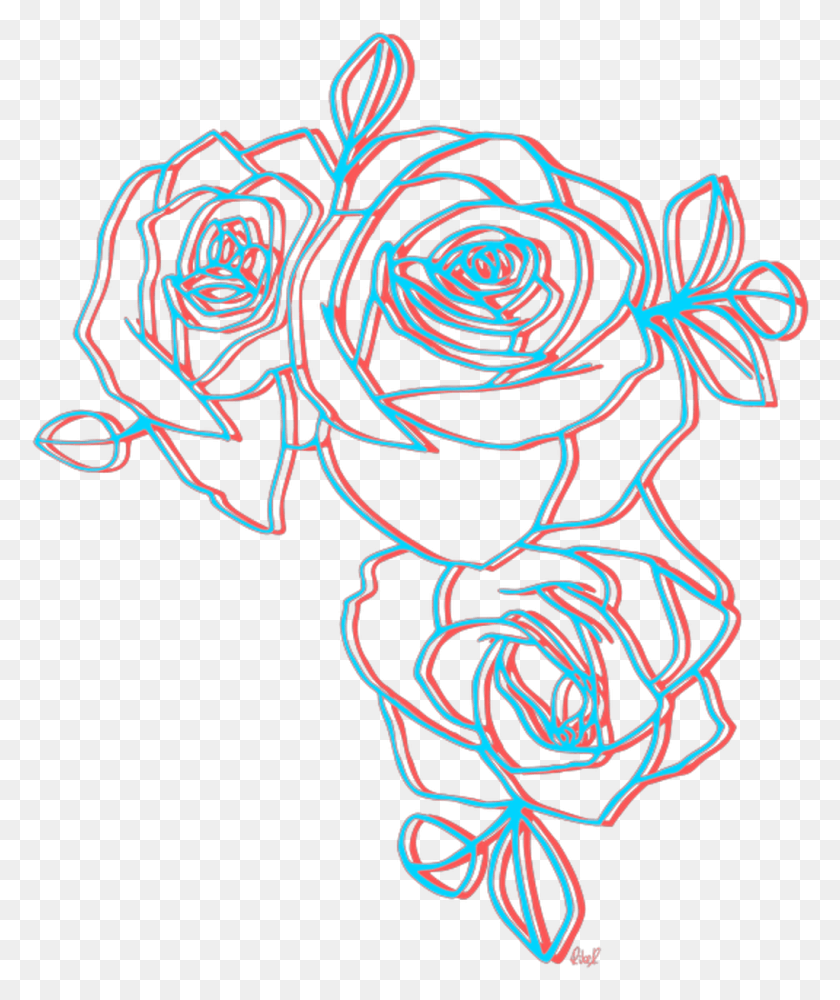 1024x1235 Flowers Sticker Halsey Roses, Graphics, Spiral HD PNG Download