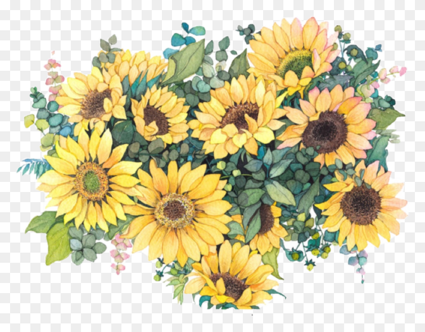 1024x784 Flowers Sunflowers Sunflowers Aesthetictumblr Watercolor Sunflowers, Plant, Flower, Blossom HD PNG Download
