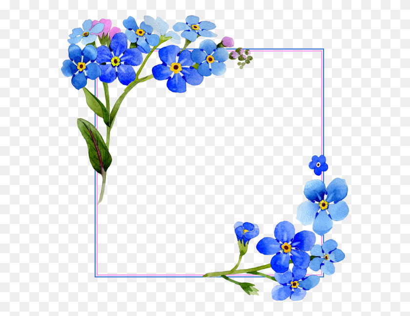 593x589 Descargar Png Flores Acuarela Cubierta Vector Marco Flor Acuarela Azul Flor Marco, Planta, Flor, Iris Hd Png