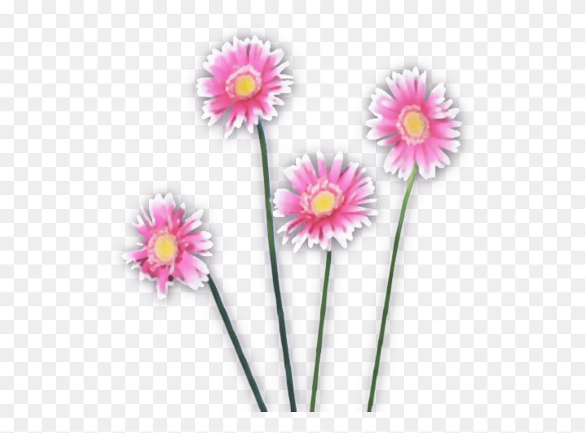 534x562 Цветы Акварель Розовое Изображение Искусственный Цветок, Растение, Цветок, Георгин Hd Png Скачать