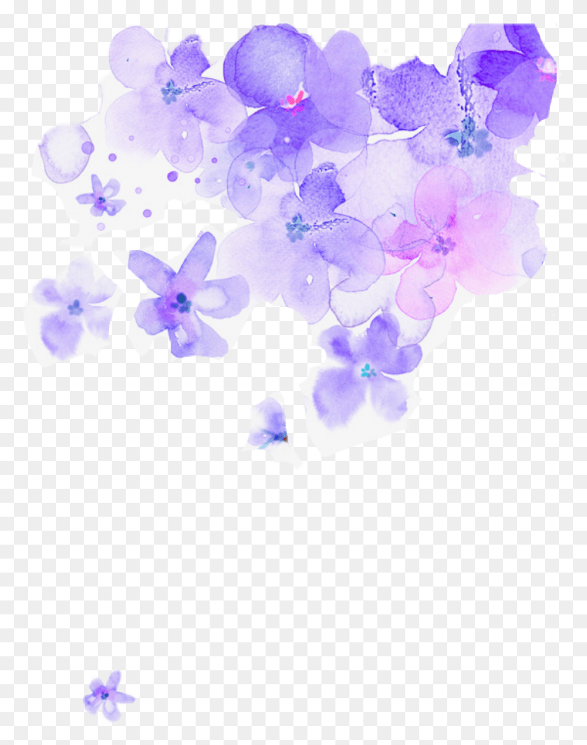 941x1215 Flowers Watercolor Watercolorflowers Purple Watercolor Flowers Clipart, Graphics, Plant HD PNG Download