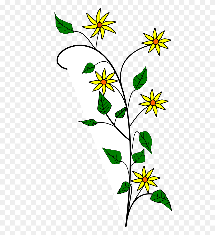 505x857 Цветы Полевой Цветок Картинки, Растение, Лист, Зеленый Hd Png Скачать