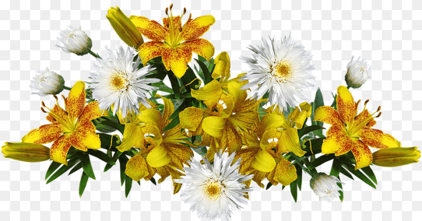 960x503 Flowers Yellow Fragrant Lilies Daisies Arrangement Yellow Lily, Daisy, Flower, Flower Arrangement, Flower Bouquet Transparent PNG