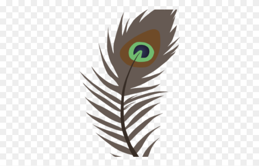 330x481 Fluted Clipart Peacock Feather Illustration, Plant, Pattern, Graphics HD PNG Download