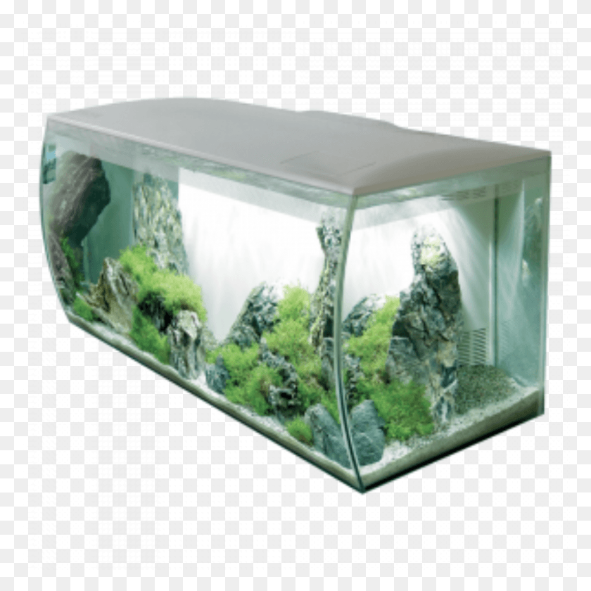 920x920 Descargar Png Fluval Flex Aquarium Kit, Vegetación, Planta, Agua Hd Png
