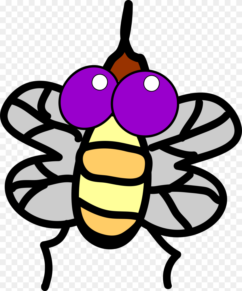 1996x2400 Fly, Animal, Bee, Insect, Invertebrate Clipart PNG