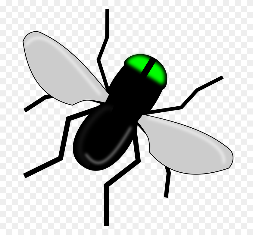 710x720 Fly Bug Black Insect Wings Nature Ant, Machine, Propeller HD PNG Download
