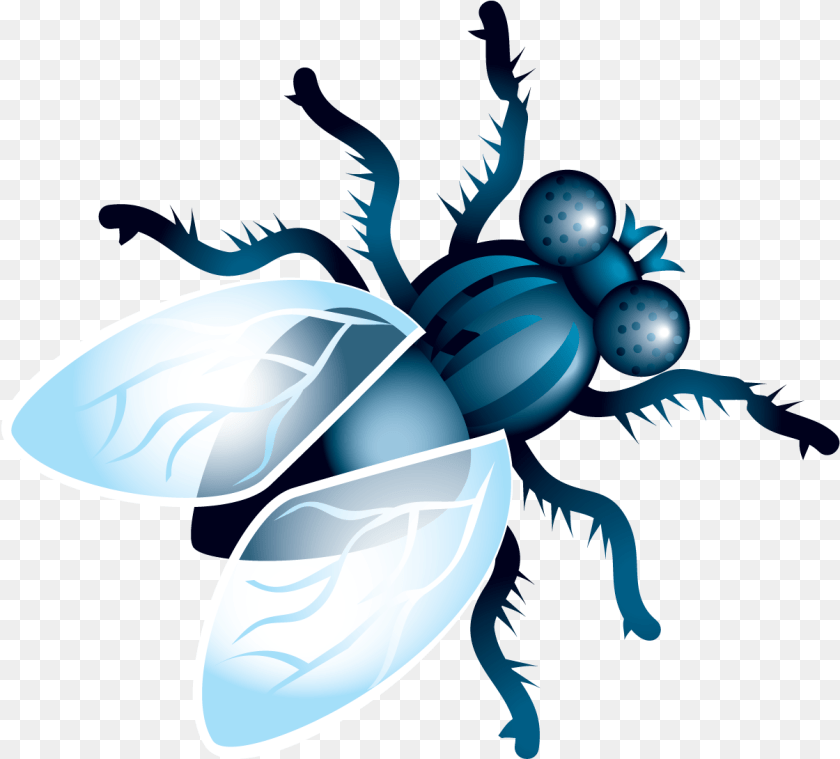 Fly Animal, Bee, Insect, Invertebrate Clipart PNG
