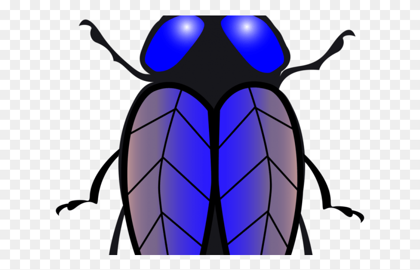 619x481 Fly Clipart Beetle Gambar Vektor Lalat, Insect, Invertebrate, Animal HD PNG Download