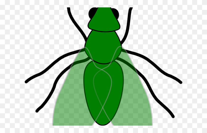 640x480 Fly Clipart Greenfly Fly Clip Art, Animal, Invertebrate, Insect HD PNG Download