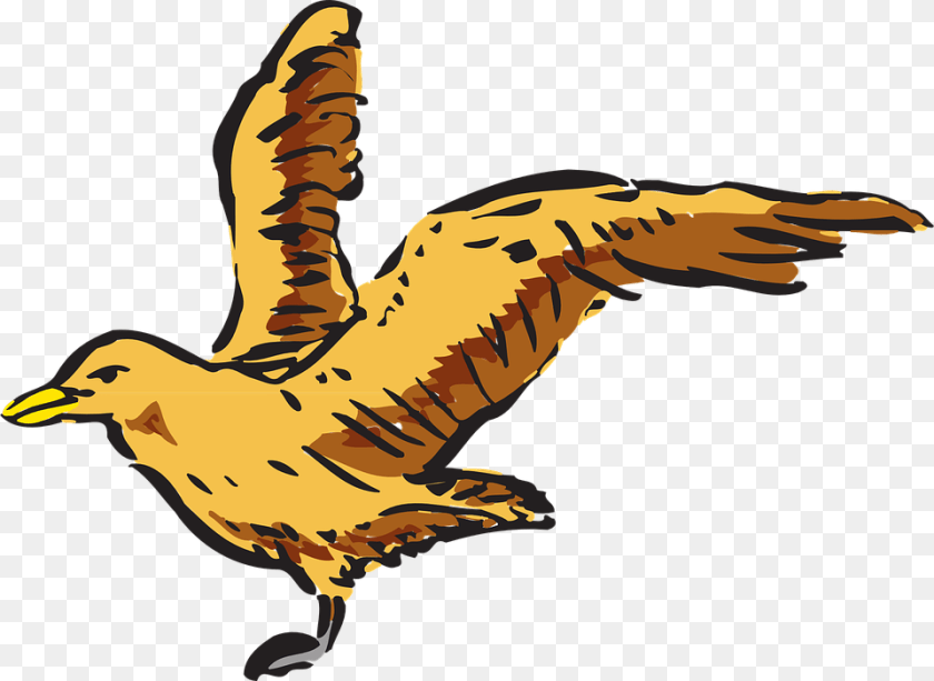 960x701 Fly Suggestions For Fly Fly Animal, Seagull, Waterfowl, Bird Clipart PNG