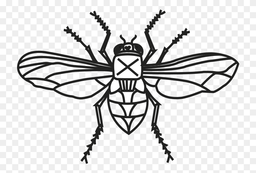 730x509 Abeja Png / Insecto Png