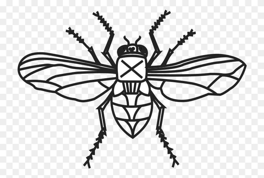 730x509 Fly Logo Bee, Insect, Invertebrate, Animal HD PNG Download