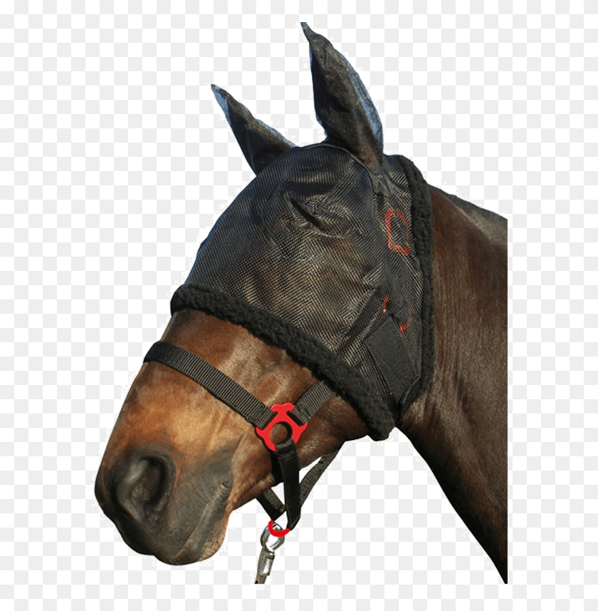 586x797 Fly Mask With Fur Border And Broad Velcro Stallion, Horse, Mammal, Animal HD PNG Download