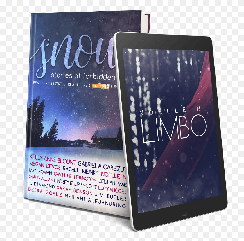 732x770 Flyer, Advertisement, Poster, Paper HD PNG Download