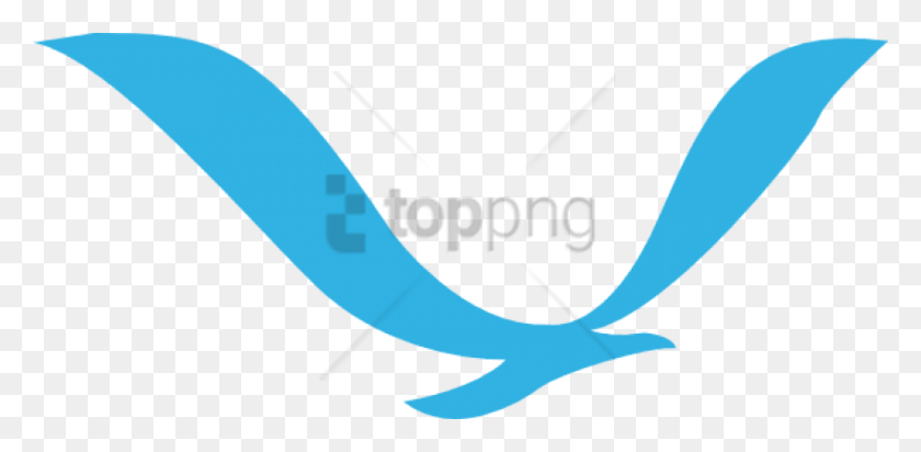 850x384 Descargar Png Flying Bird Logo Image Con Fondo Transparente Vector Noaa Logo, Text, Animal, Pin Hd Png