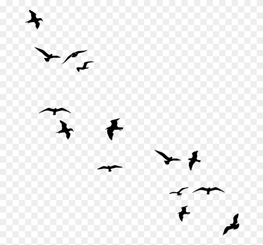 690x724 Flying Bird Silhouette Birds Flying Away Drawing, Gray, World Of Warcraft HD PNG Download