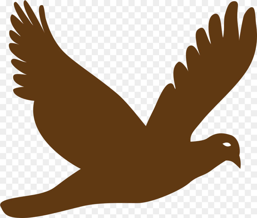 1690x1432 Flying Bird Vector Silhouette Flying Bird, Animal, Pigeon, Dove, Person PNG