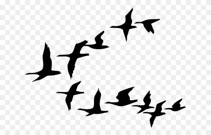 640x480 Flying Birds Clipart, Text, Outdoors, Nature HD PNG Download