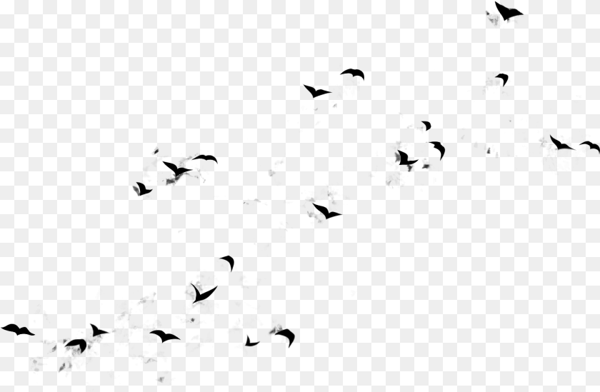 Flying Birds Design Large Flock, Gray PNG