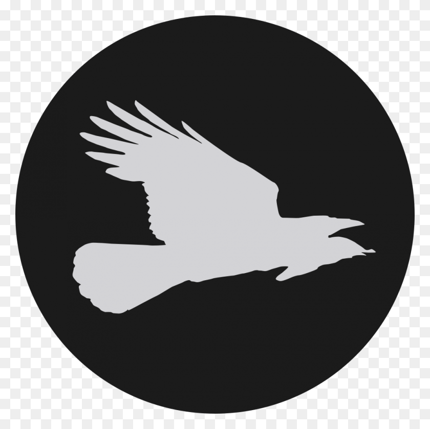 1000x1000 Логотип Flying Crow Press Twitter, Животное, Птица, Черный Дрозд Png Скачать